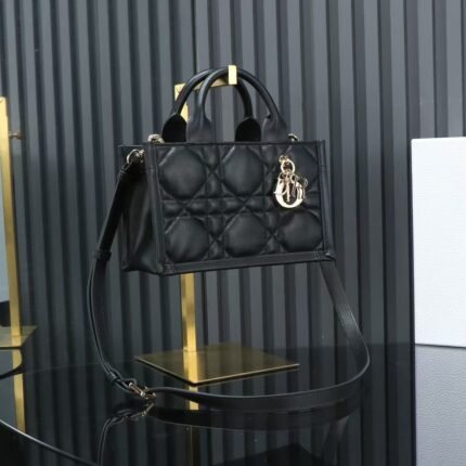 DIOR book tote24 early spring collection size：21.5x13x7.5cm